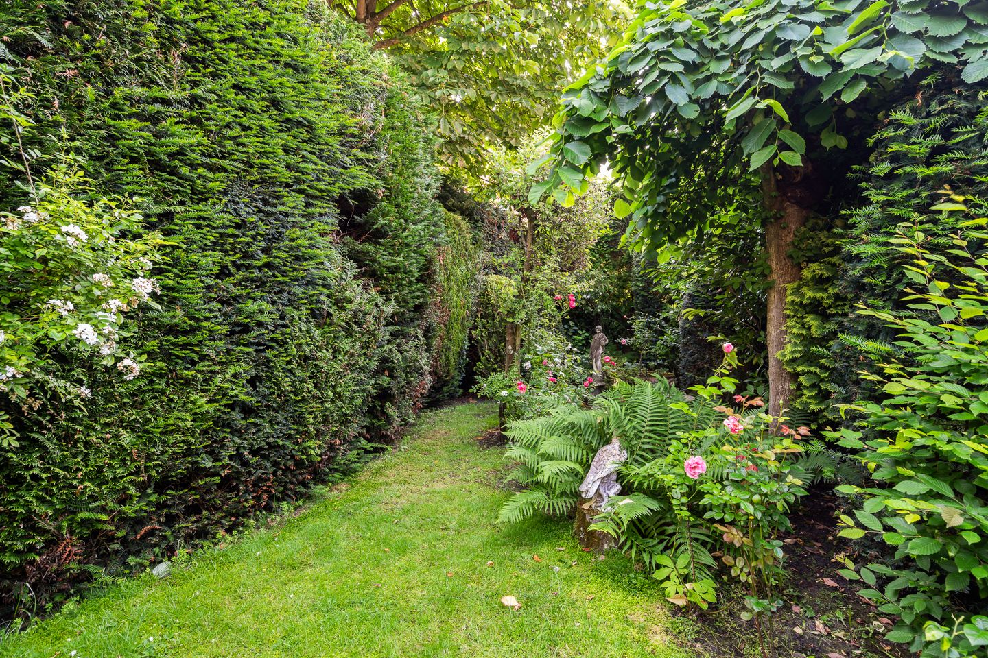 Foto 50 van Hoflaan 39