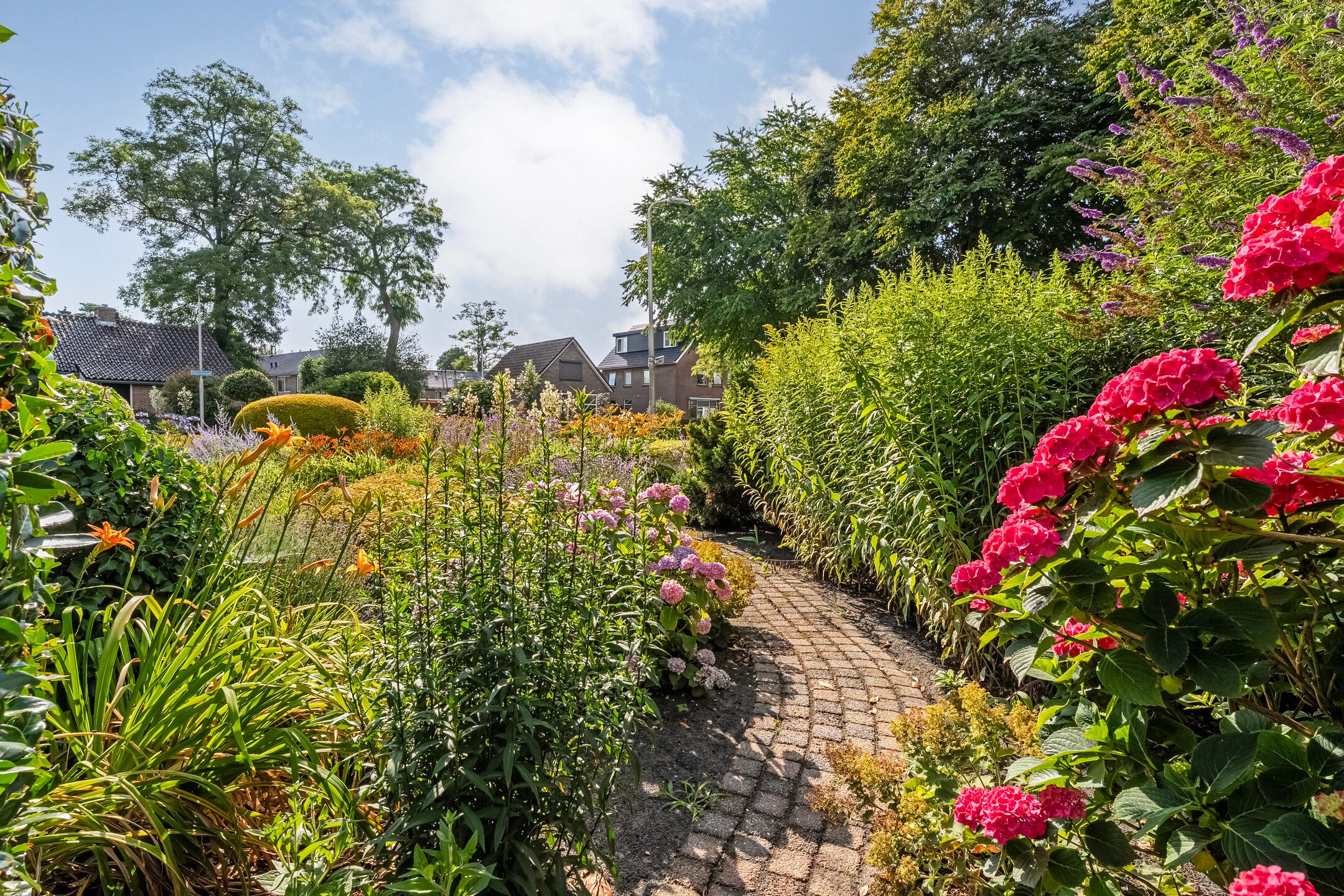 Foto 51 van Zwiersstraat 56