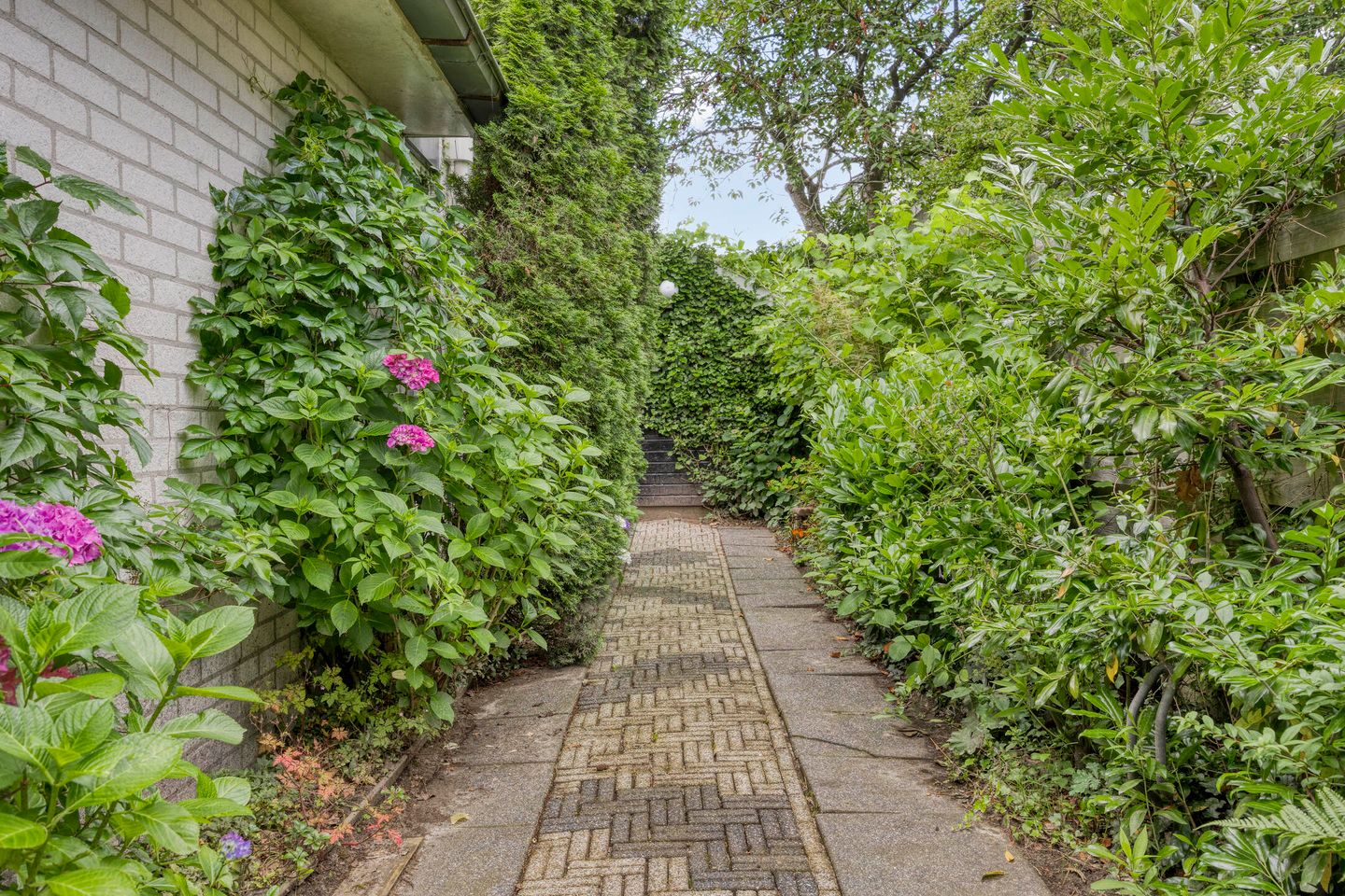 Foto 29 van Langbree 7