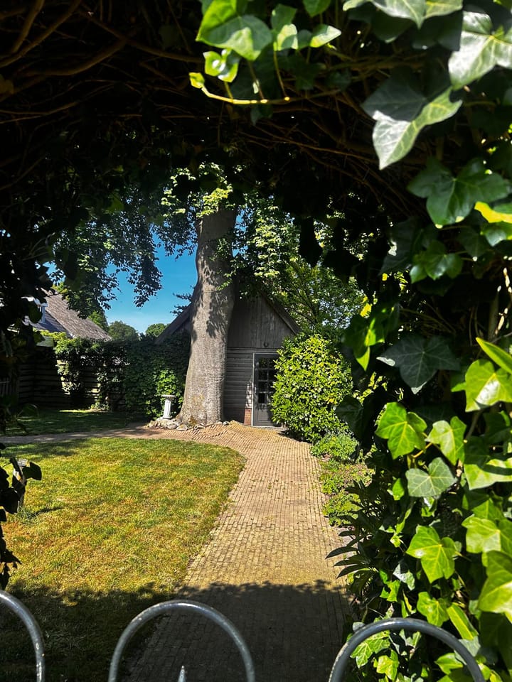 Foto 62 van Emmerweg 23