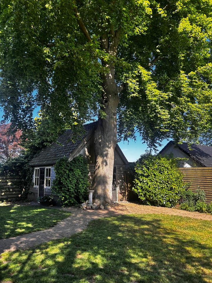 Foto 64 van Emmerweg 23