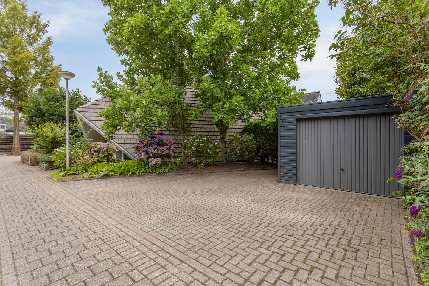 Photo 4 of Blikakker 24