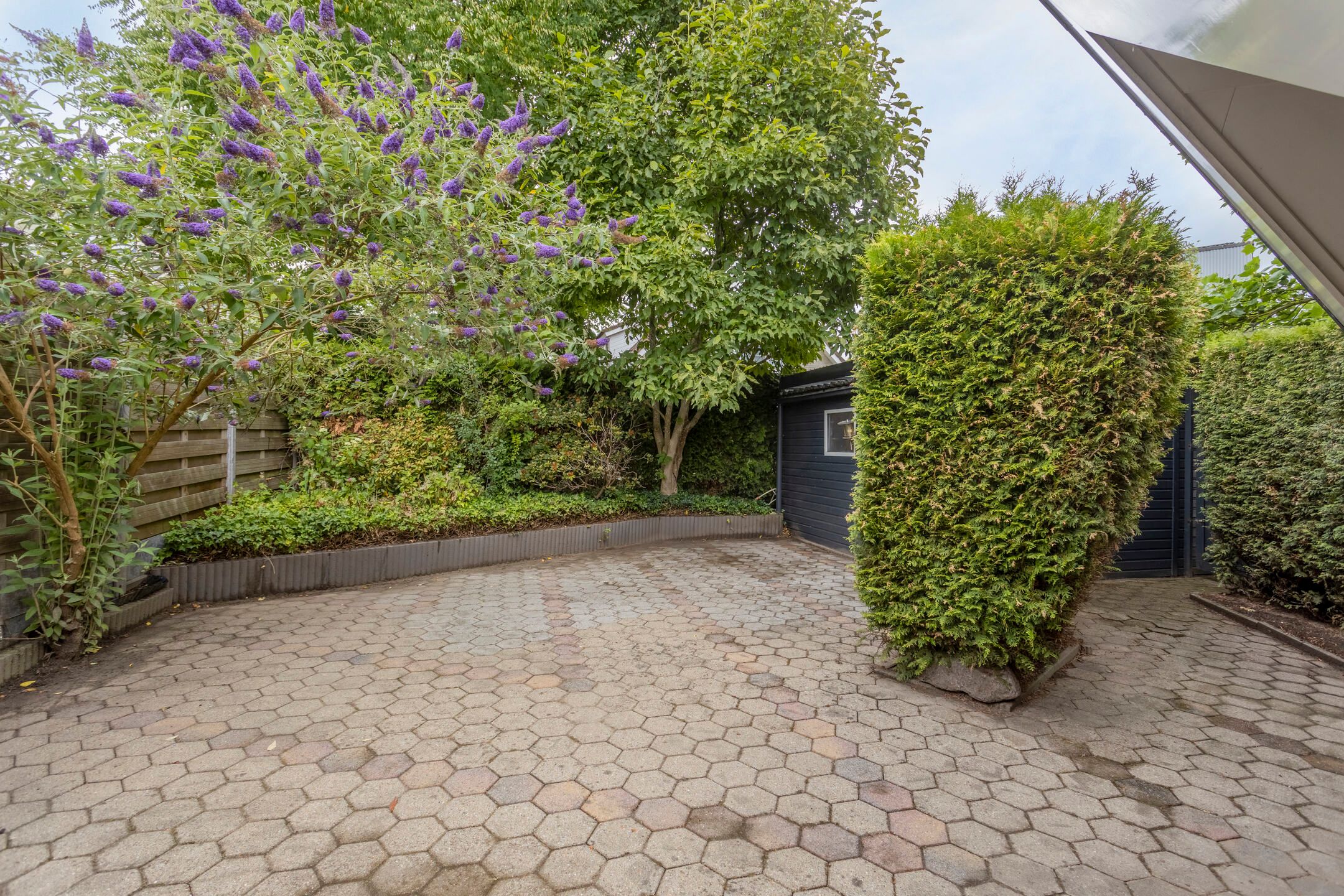 Photo 27 of Blikakker 24