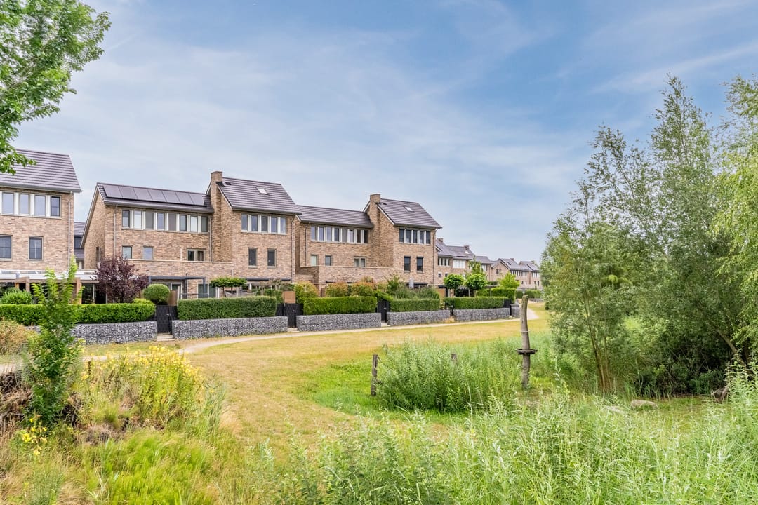 Foto 2 van Stuifduin 8