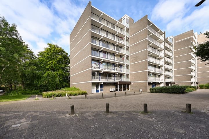 Foto 4 van Tulpentuin 67