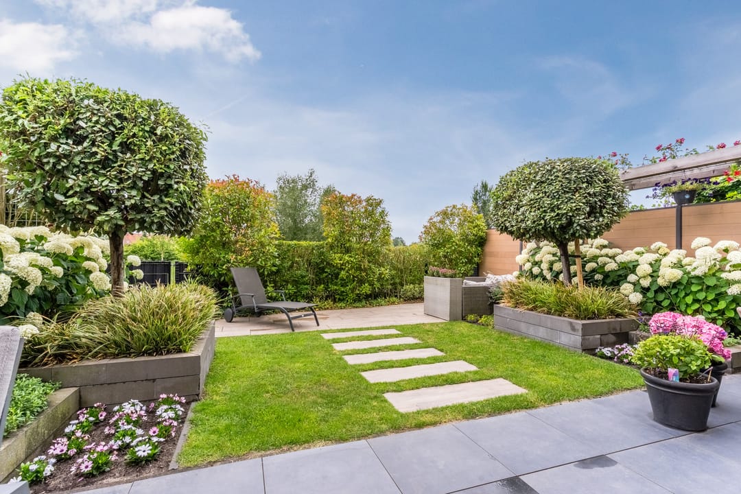 Foto 47 van Stuifduin 8