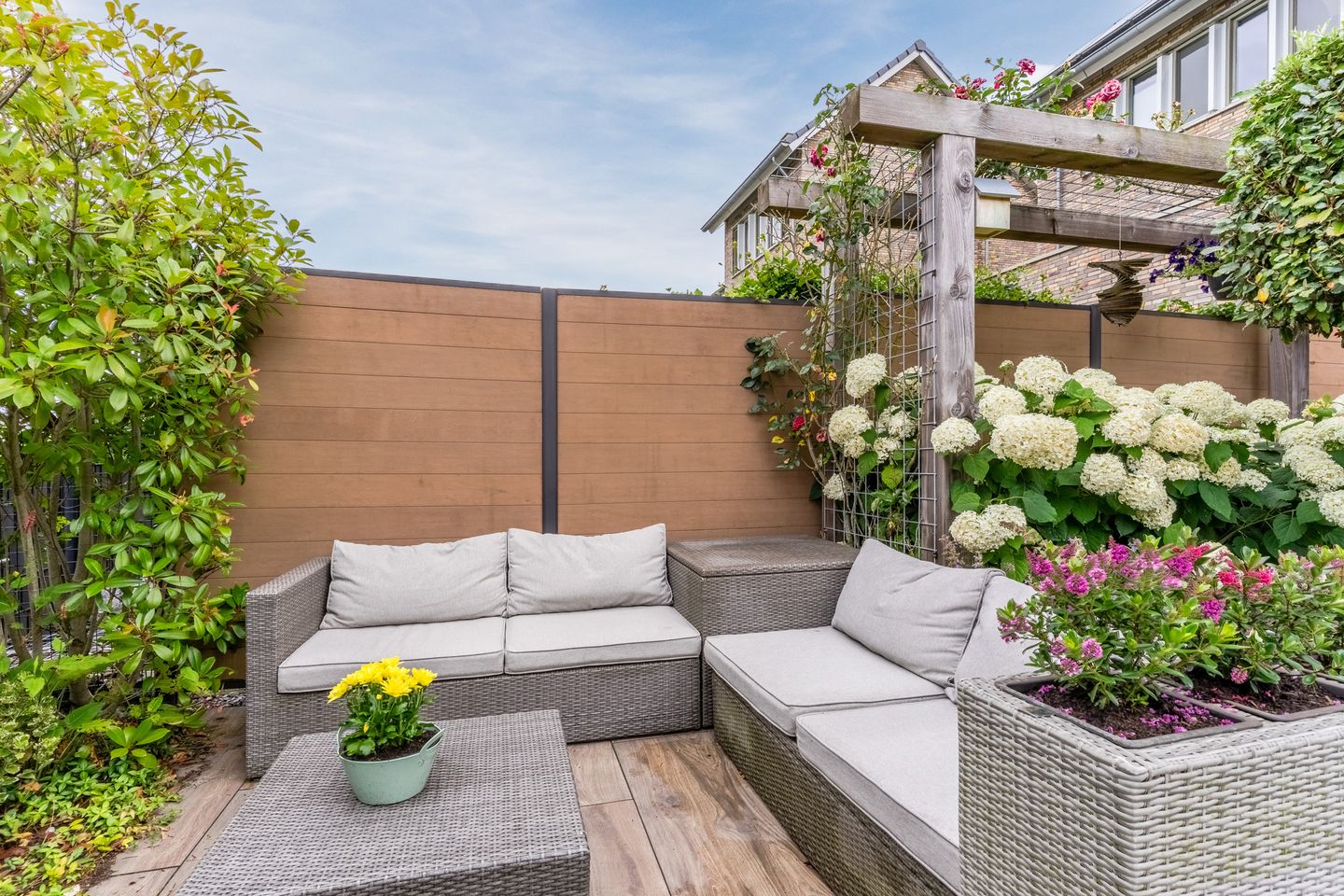 Foto 49 van Stuifduin 8