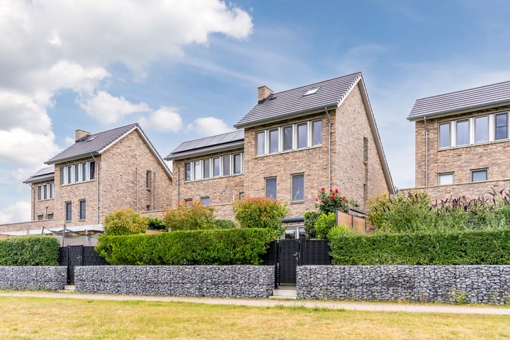 Foto 56 van Stuifduin 8