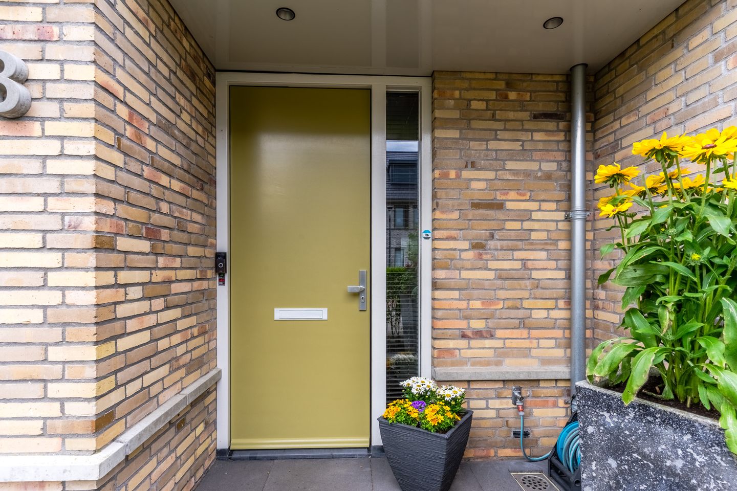 Foto 59 van Stuifduin 8