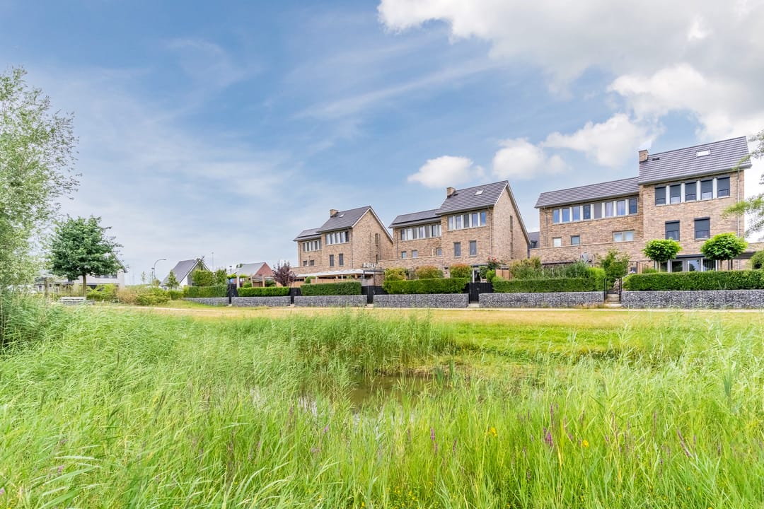 Foto 62 van Stuifduin 8