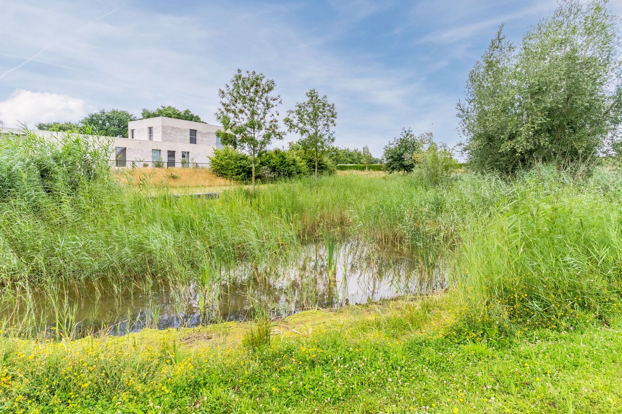 Foto 63 van Stuifduin 8