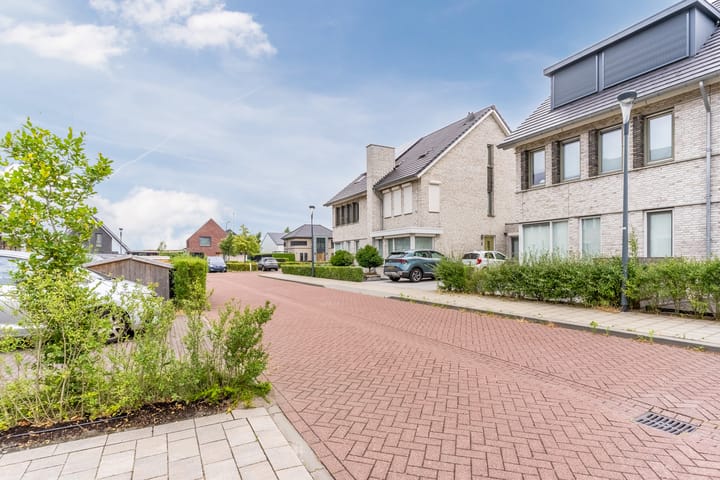 Foto 66 van Stuifduin 8