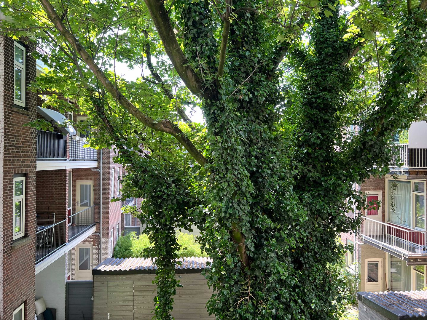 Foto 14 van Schiedamseweg 28-B01