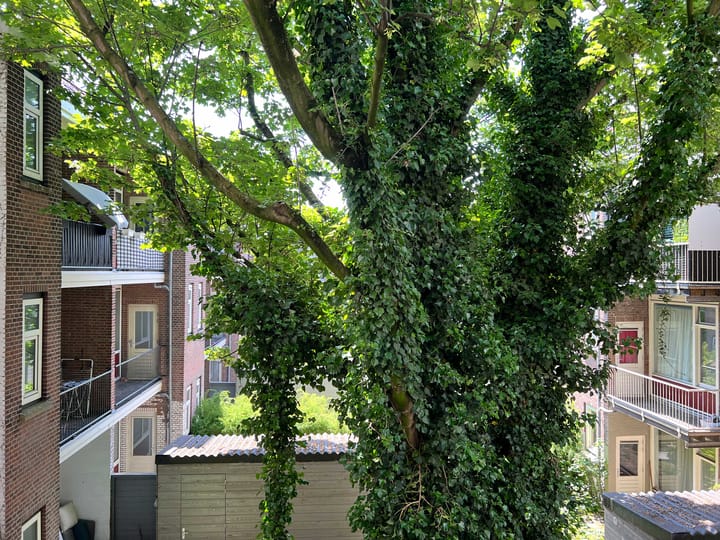 Foto 14 van Schiedamseweg 28-B01