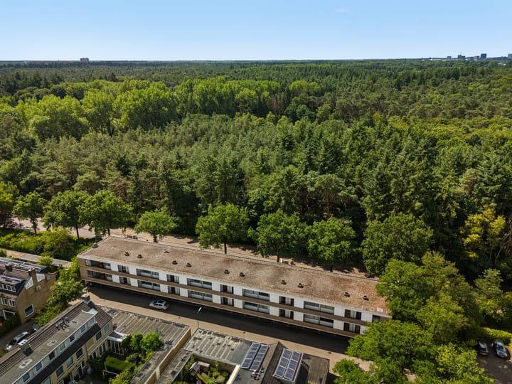 Foto 19 van Putterlaan 49