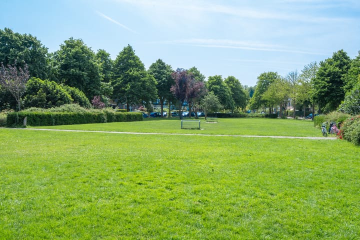 Foto 42 van Nassauplein 35