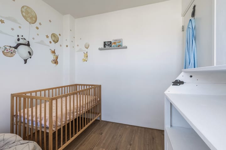 Foto 15 van Rudolf Agricolastraat 28