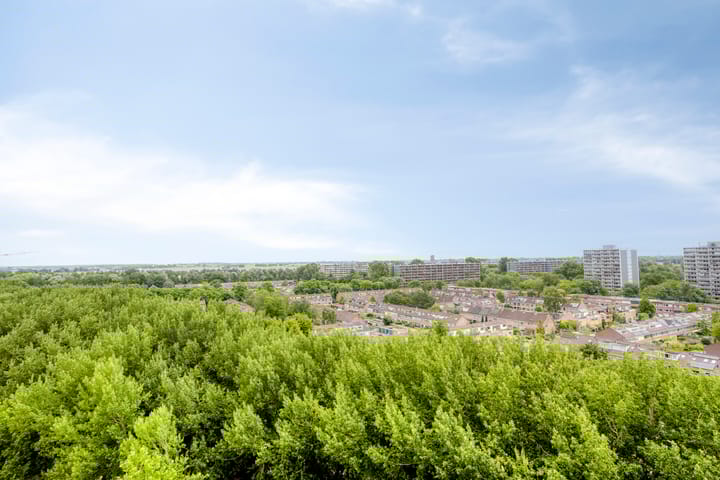 Foto 29 van Burgemeester D. Kooimanweg 443