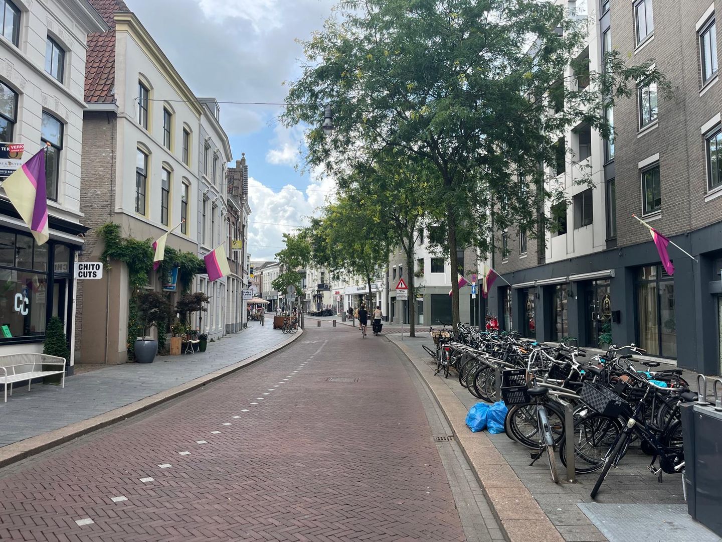 Bekijk foto 4 van Orthenstraat 38