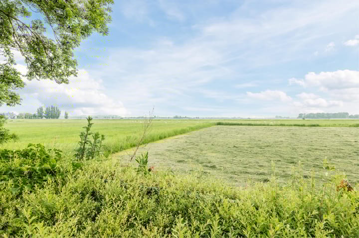 Foto 60 van Lutkepost 3