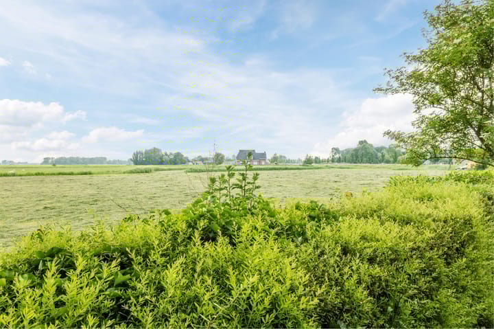 Foto 61 van Lutkepost 3