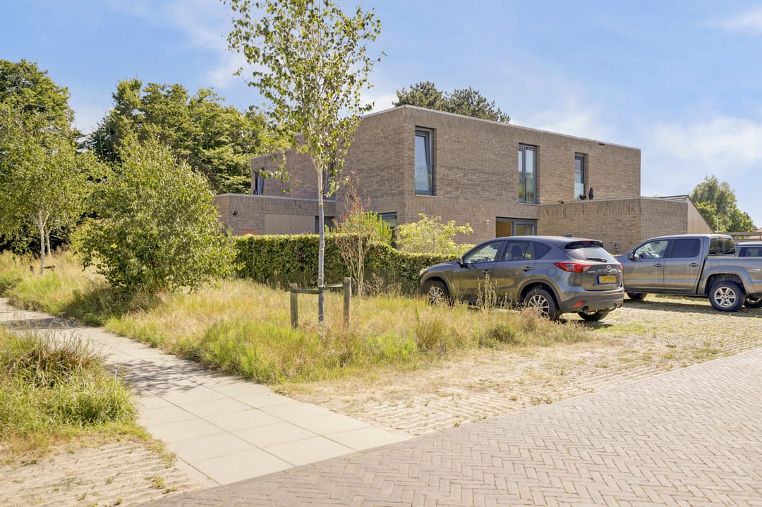 Foto 2 van Domineesbosje 3