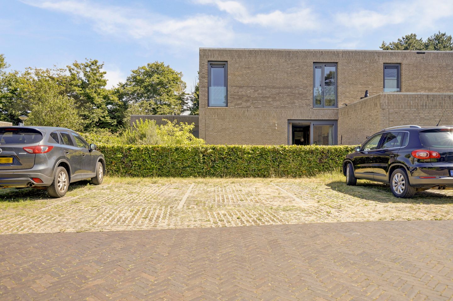 Foto 20 van Domineesbosje 3