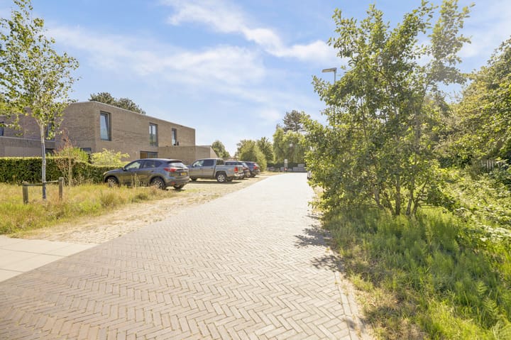 Foto 25 van Domineesbosje 3