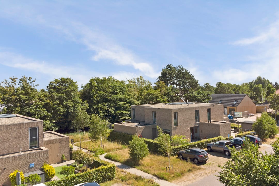 Foto 28 van Domineesbosje 3