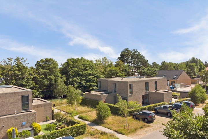 Foto 28 van Domineesbosje 3