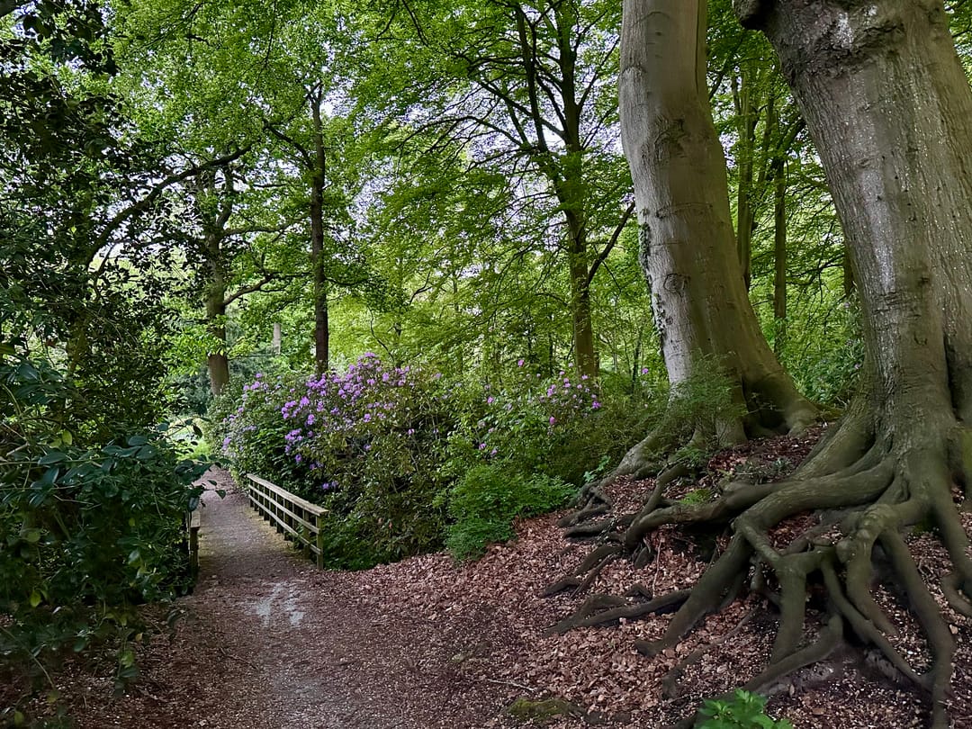 Photo 41 of Generaal Spoorlaan 111