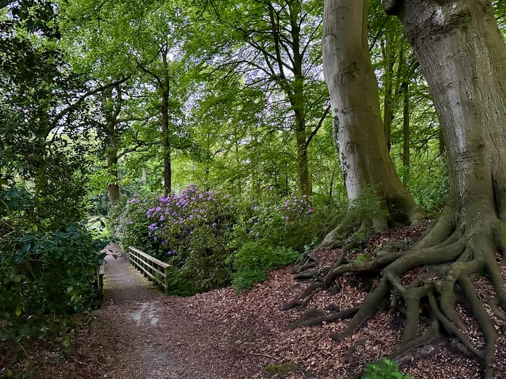 Foto 41 van Generaal Spoorlaan 111