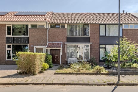 Willem de Bruynstraat thumbnail