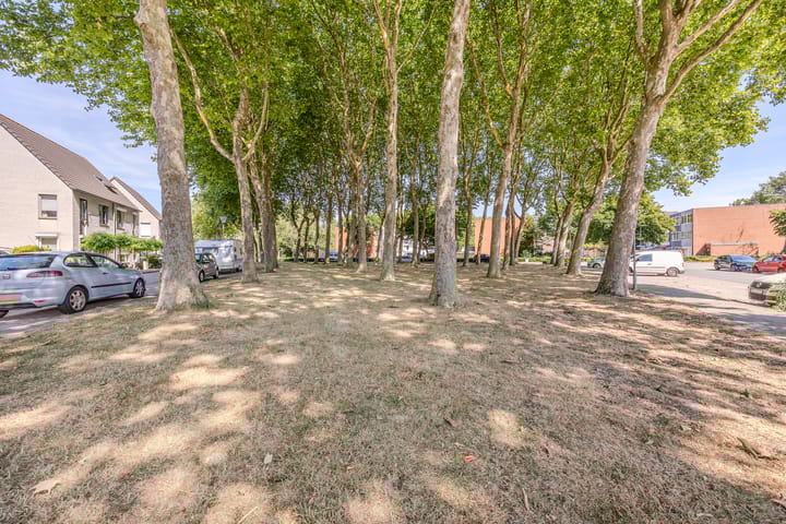 Foto 36 van Willem de Bruynstraat 6