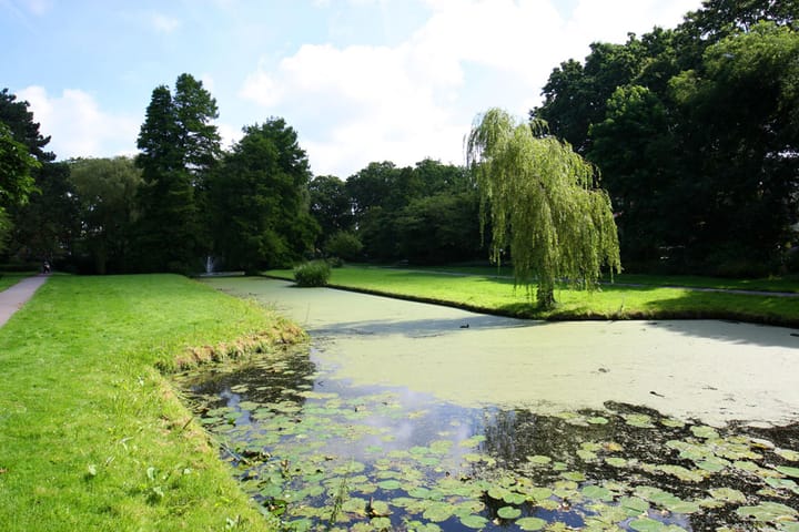 Foto 55 van Burchtplein 20