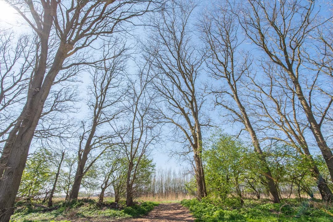 Foto 23 van Rekerlanden 273