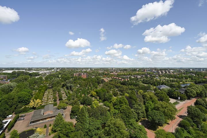 Foto 7 van Rodelaan 391