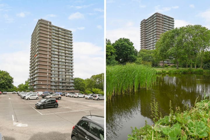 Foto 17 van Rodelaan 391