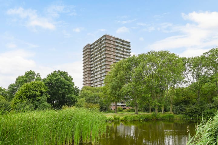 Foto 18 van Rodelaan 391