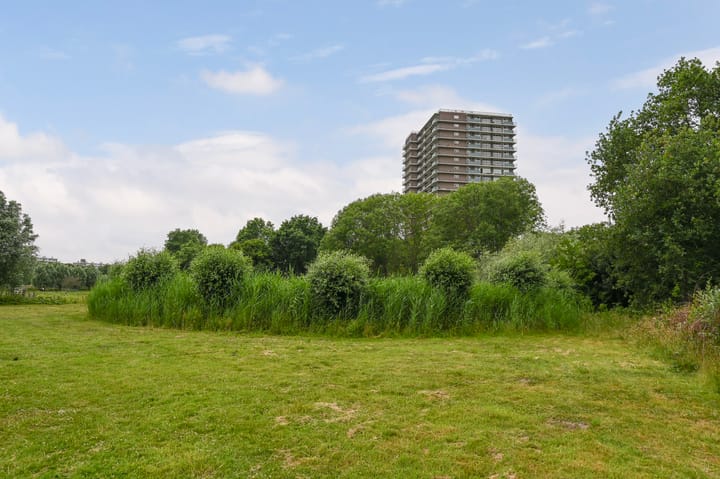 Foto 19 van Rodelaan 391