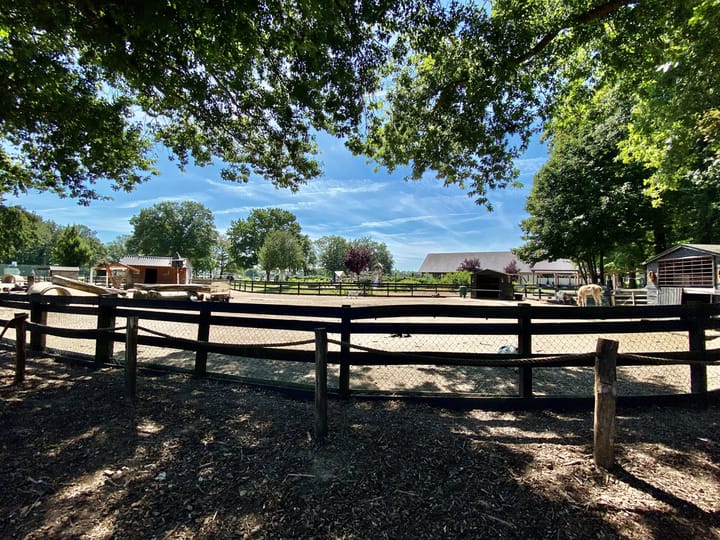 Foto 21 van Hommelweg 2-249