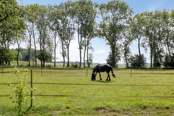 Photo 34 of Kraaijerdijk 2