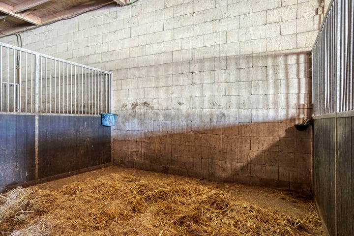 Photo 43 of Kraaijerdijk 2