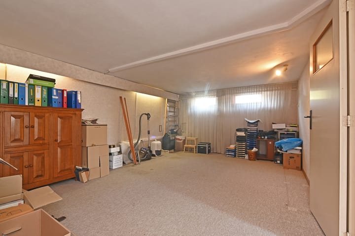 Photo 36 of Rodenrijseweg 103