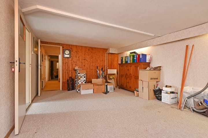 Photo 37 of Rodenrijseweg 103