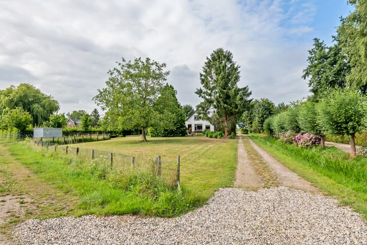 Foto 1 van Ganzert 45