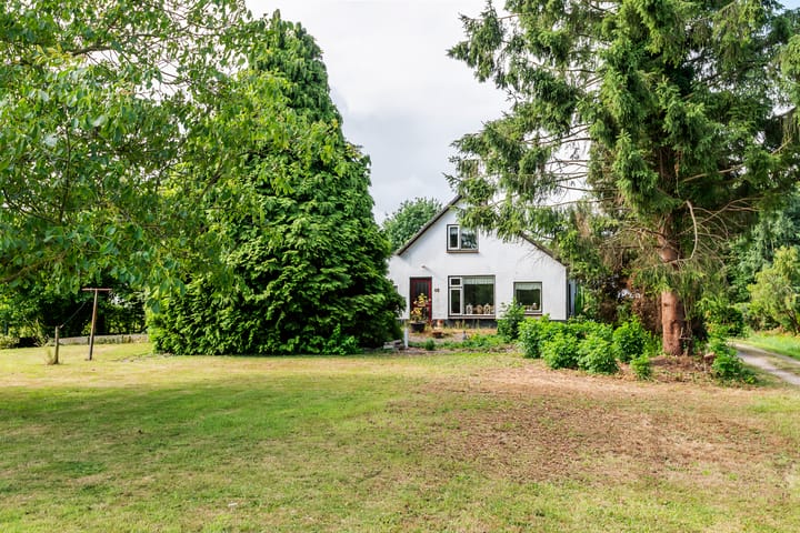 Foto 4 van Ganzert 45