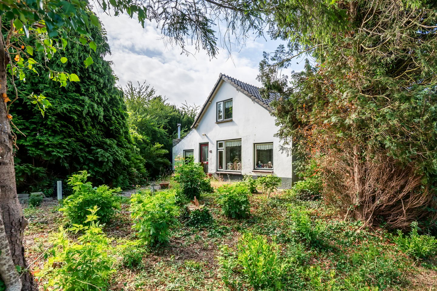 Foto 5 van Ganzert 45