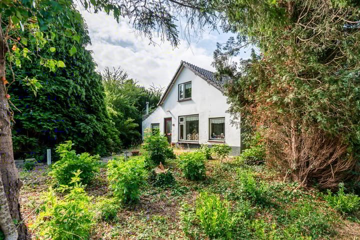 Foto 5 van Ganzert 45