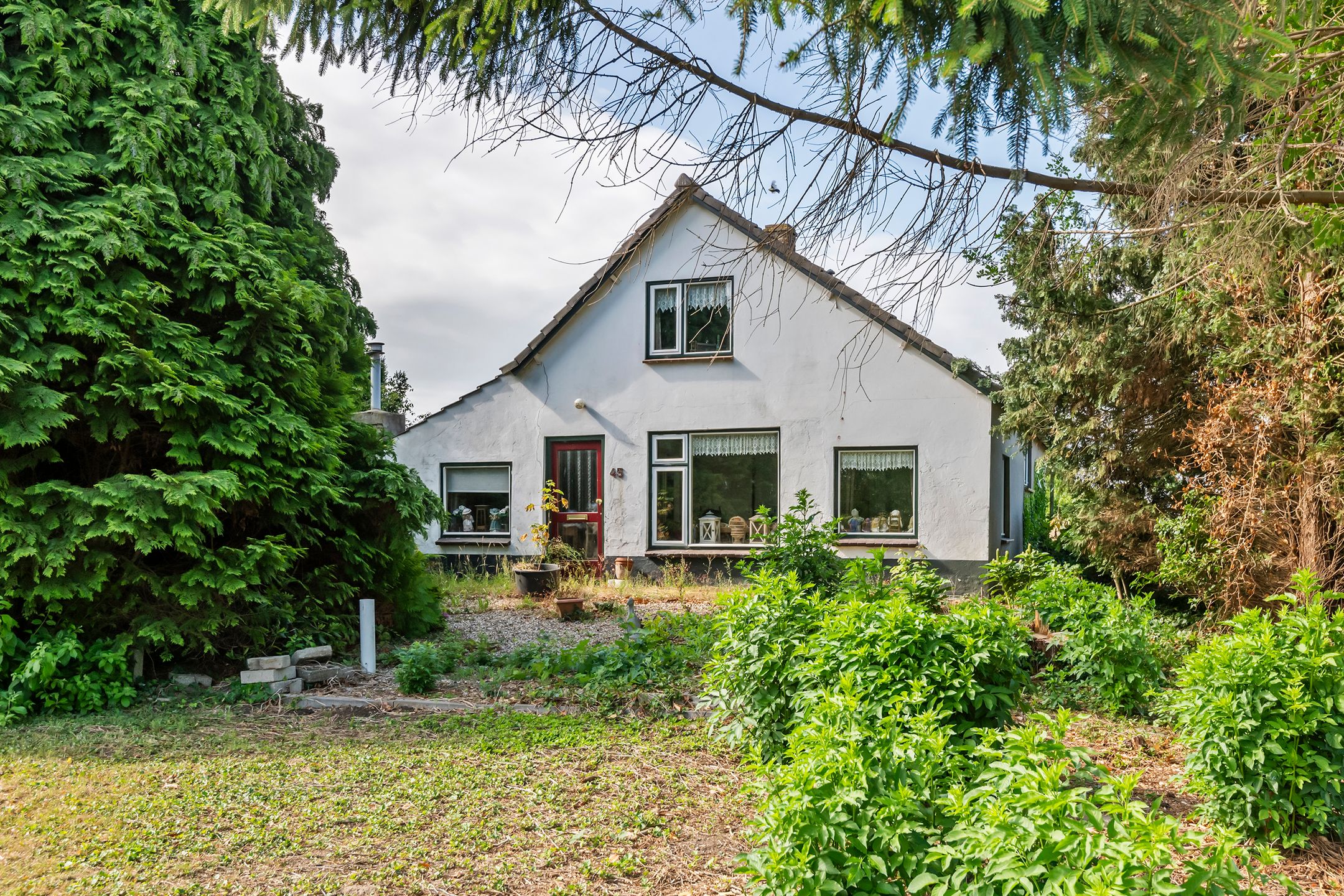 Foto 6 van Ganzert 45